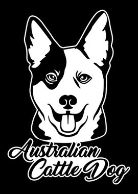 Australian Cattle Dog