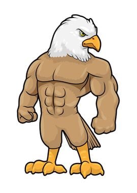 Hawk Bodybuilder Sixpack