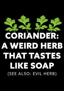 Coriander A Herb Gift