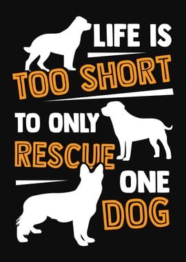 Dog Rescue Rescuer Design