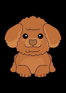 Toy Poodle