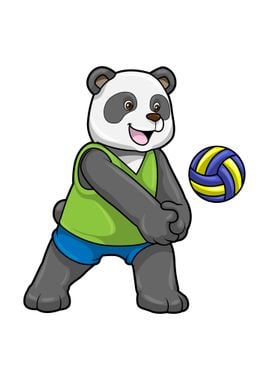 Panda Sports Volleyball