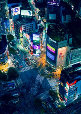 Shibuya Crossing