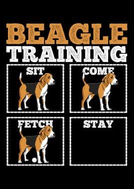 Beagle Dog Training Dog Tr