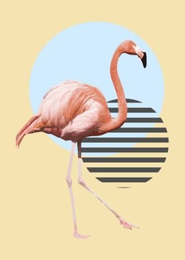 flamingo