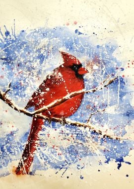 Cardinal in the snow