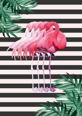 flamingo