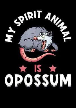 Opossum Funny Saying