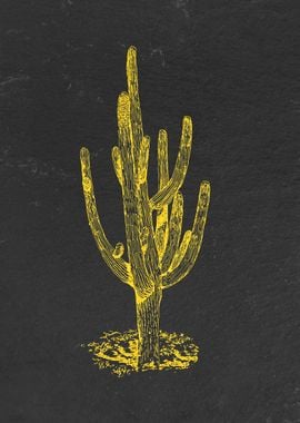 Golden Saguaro on Slate