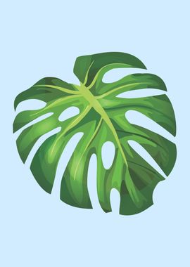 monstera