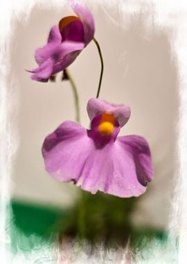 Tropical pink flowers