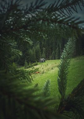 Old wooden cabin