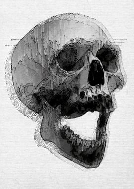 Poster - Skull 