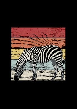 Zebra Animal Retro Vintage