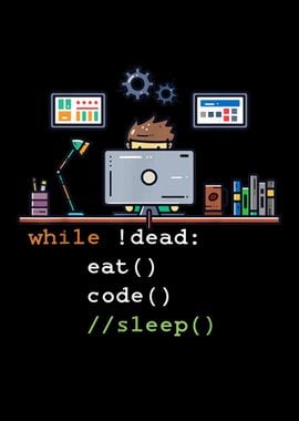 Programmer Eat Code Sleep