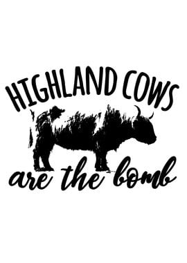 Highland cows