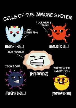 Cells Of The Immune System