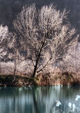 landscape lake