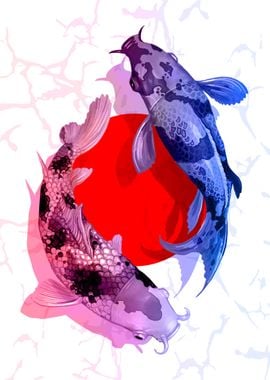 Koi Fish