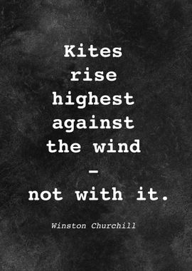 W Churchill Quote D043