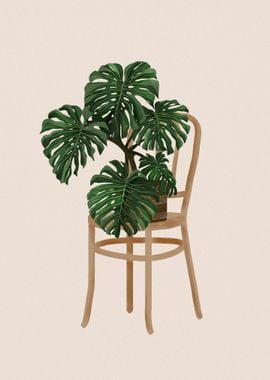 Monstera Plant 7