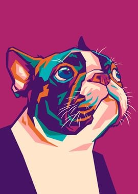 WPAP Boston Terrier