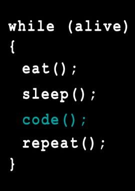 Programmer Coder