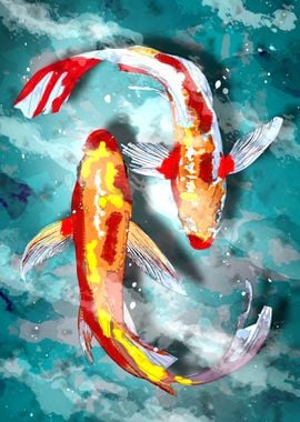 koi fish 