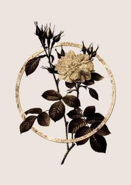 Gold Circle Rose Botanical