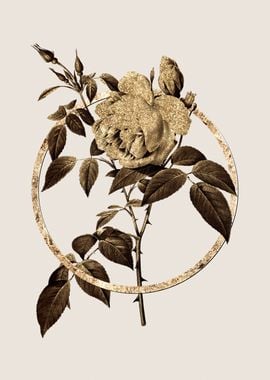 Gold Circle Rose Botanical