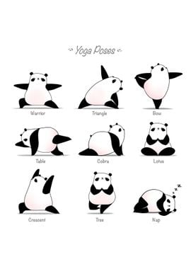 Yoga Panda II