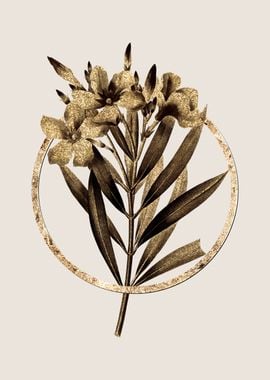 Gold Oleander Flower