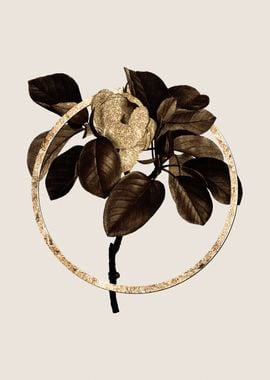 Gold Magnolia Elegans