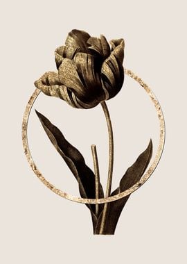 Gold Tulip Flower