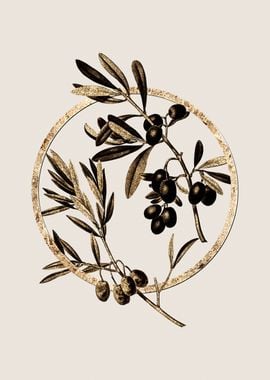 Gold Olive Fruit Branch