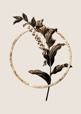 Gold Solomons Seal Flower