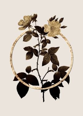 Gold Red Bramble Leaf Rose