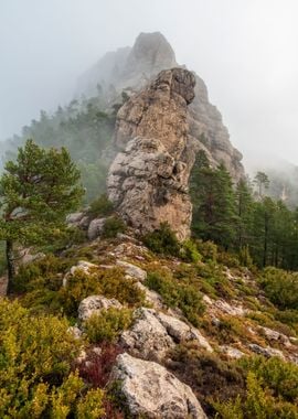 Fog in els Ports mont caro