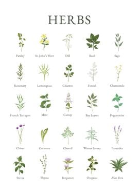 Kitchen Herbs Chart