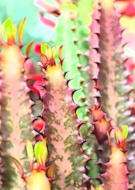 abstract succulent plant