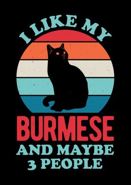 Burmese Cat Funny