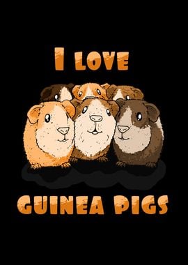 I love Guinea Pigs