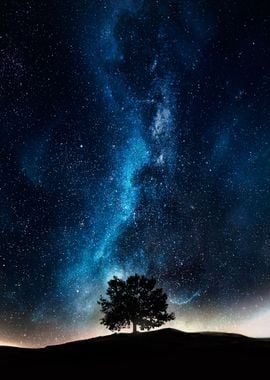 Epic cosmic tree