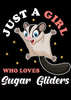 Sugar Glider Cute Animals