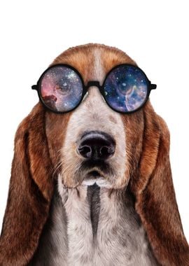 Basset in Space Sunglass