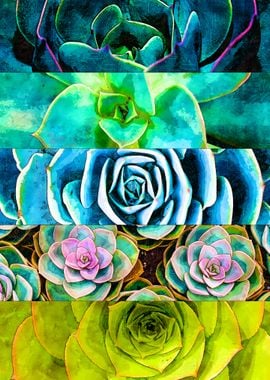 Succulent Art