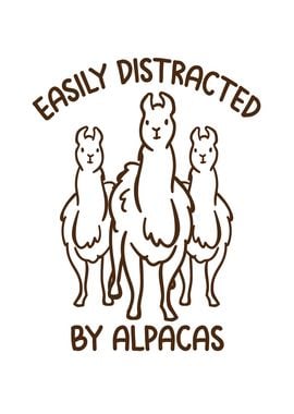 Distracted by Alpacas