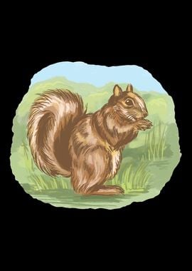 Squirrel Animal Forest