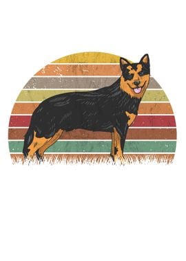 Australian Cattle Dog