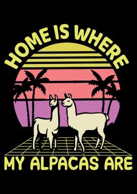 Alpacas are home